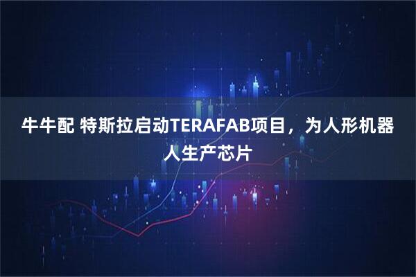 牛牛配 特斯拉启动TERAFAB项目，为人形机器人生产芯片