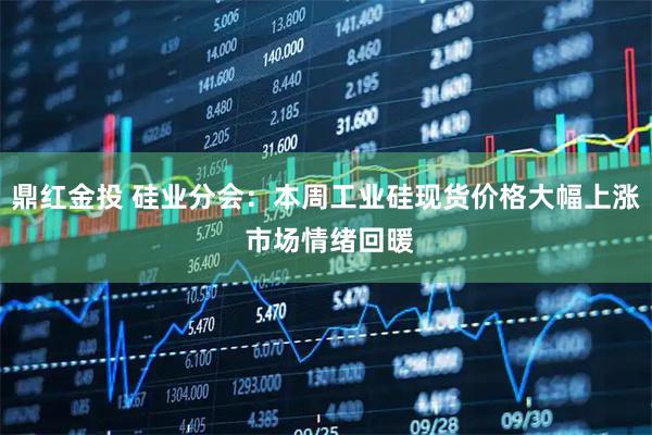 鼎红金投 硅业分会：本周工业硅现货价格大幅上涨 市场情绪回暖